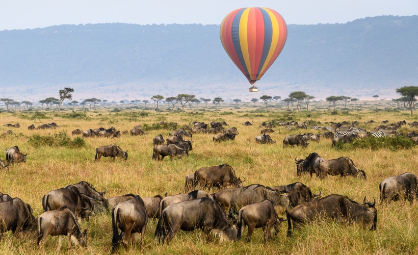 masai mara safari tours
