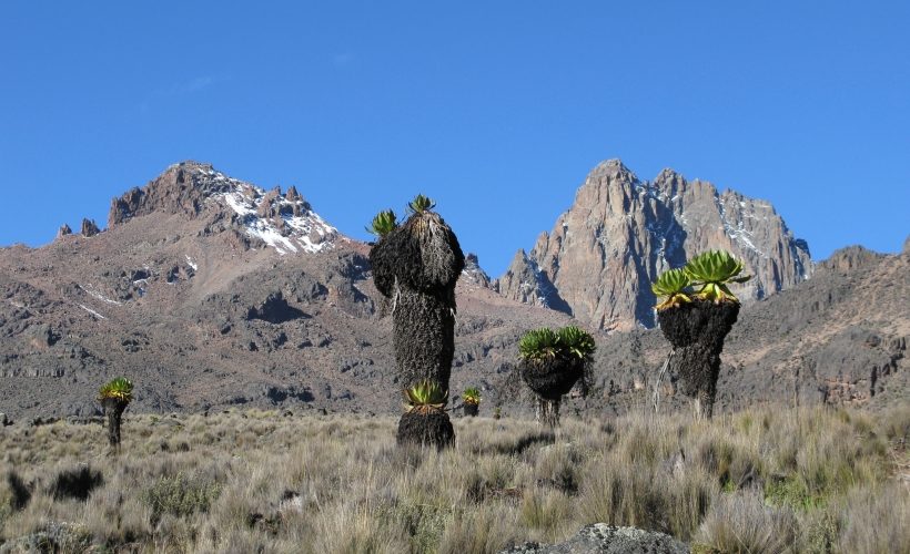 Mount-Kenya chogoria