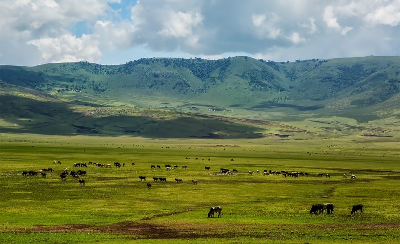 Ngorongoro-crater-tanzania