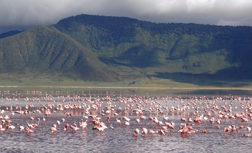 Ngorongoro_Flamingo_Lake